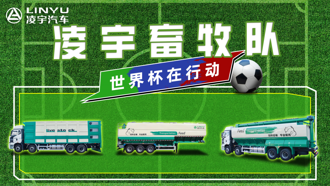 奪冠世界杯！你注意到這支球隊了嗎？